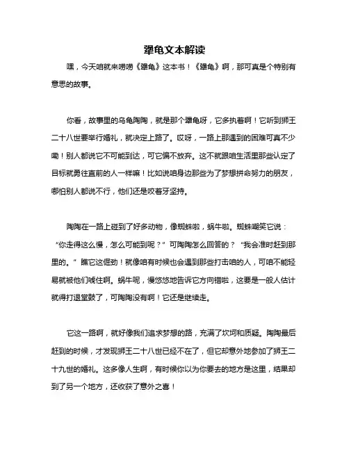 犟龟文本解读