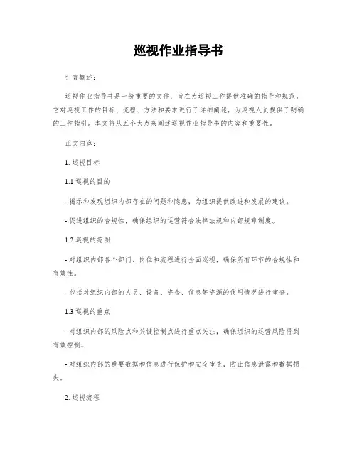 巡视作业指导书