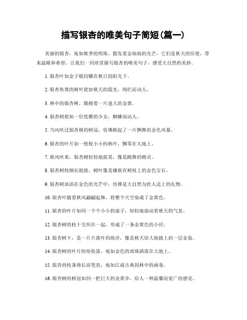 描写银杏的唯美句子简短(精选两篇)