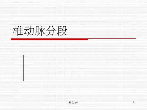 椎动脉分段ppt课件