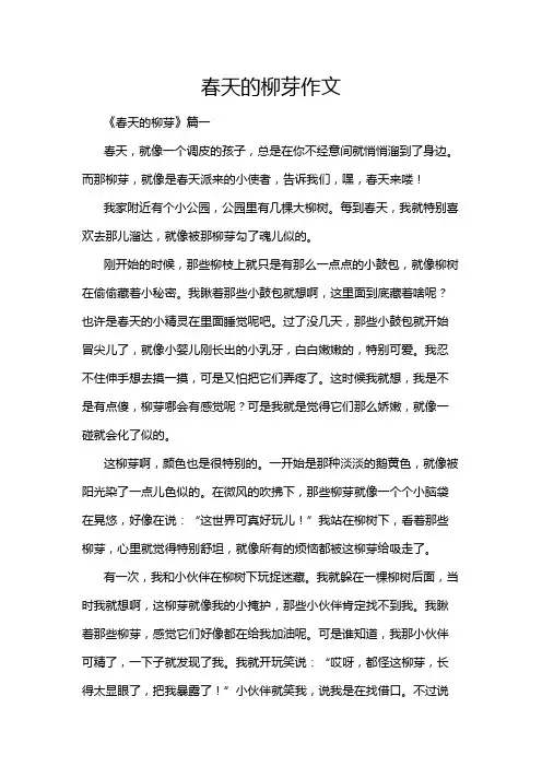 春天的柳芽作文
