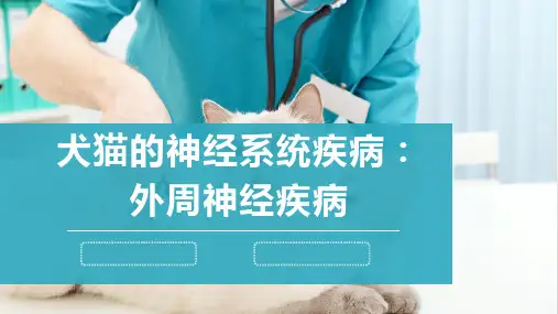 犬猫的神经系统疾病(外周神经疾病)-宠物医生课件