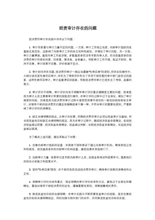 经责审计存在的问题