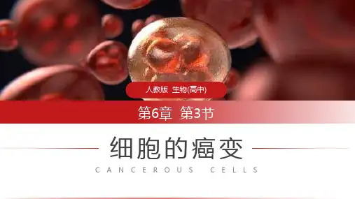 《细胞的癌变》人教版必修高一生物PPT课件