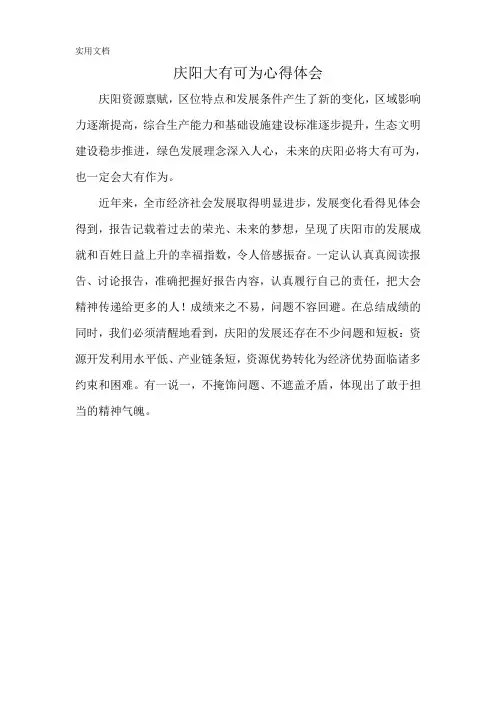 庆阳大有可为心得体会