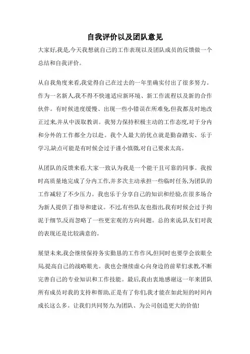 自我评价以及团队意见