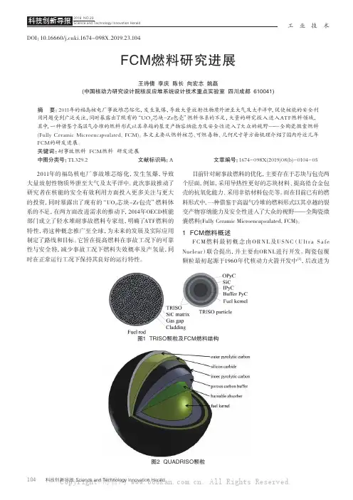 FCM燃料研究进展