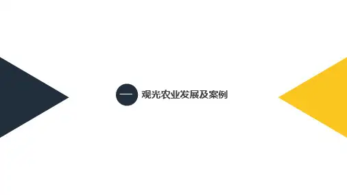 观光农业发展及案例