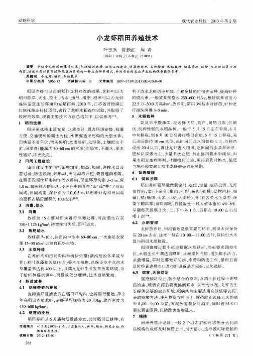 小龙虾稻田养殖技术