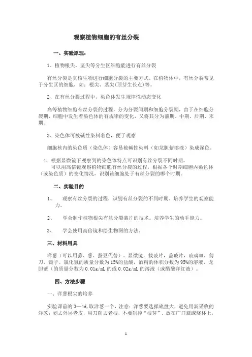 观察植物细胞的有丝分裂