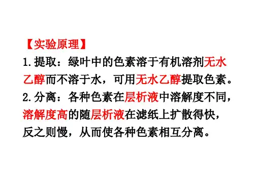 实验绿叶中色素的提取和分离PPT课件