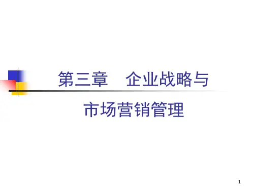 企业战略与市场营销管理教材(PPT 47页)