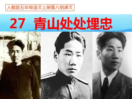 《青山处处埋忠骨》完美版PPT课件