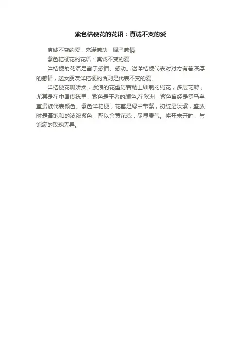紫色桔梗花的花语：真诚不变的爱