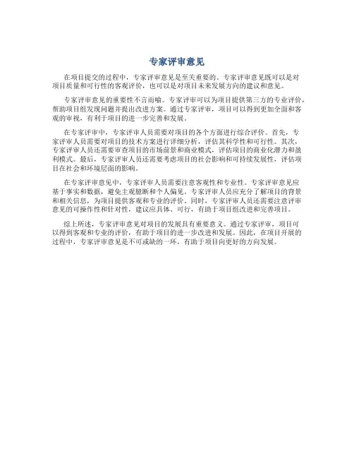 专家评审意见