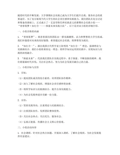 大学暑期社会实践小组名