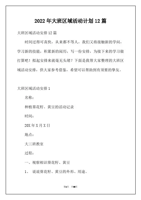 2022年大班区域活动计划12篇