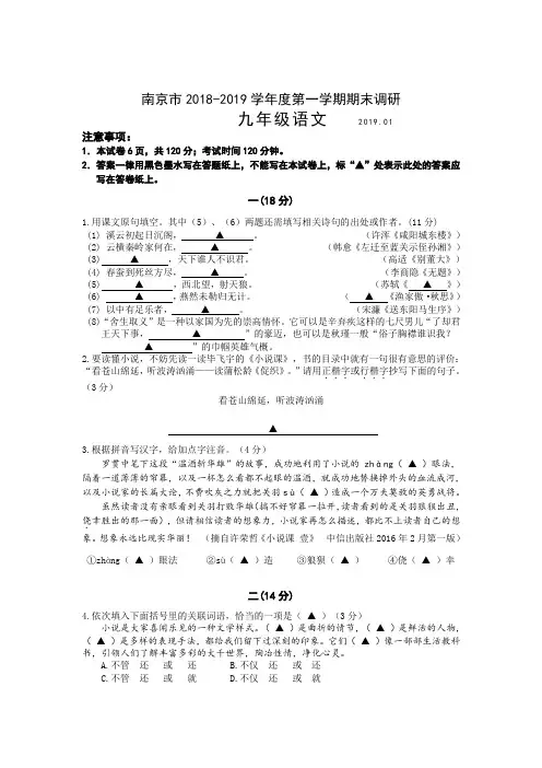 南京市2018—2019学年度第一学期期末试卷九年级语文(含答案)