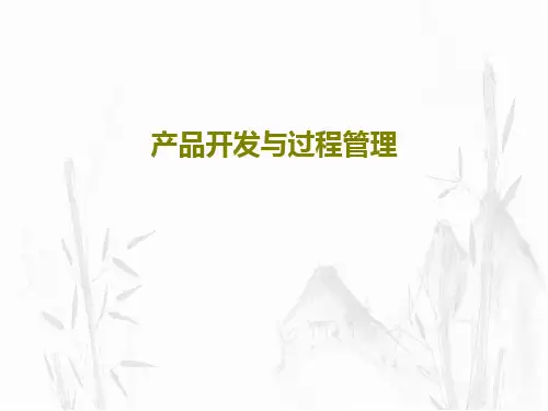 产品开发与过程管理42页PPT