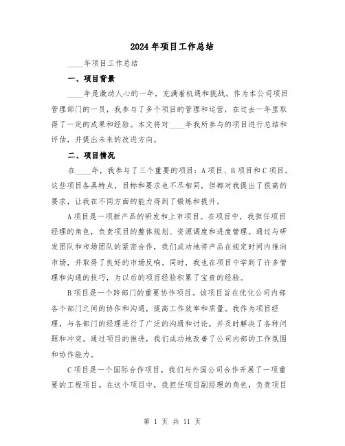 2024年项目工作总结（5篇）