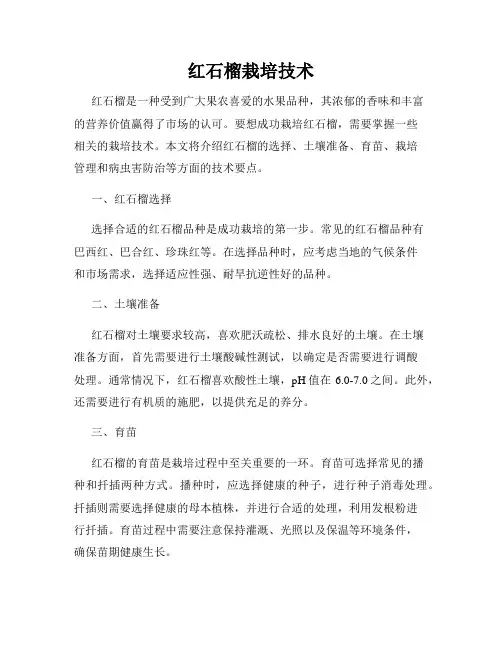 红石榴栽培技术