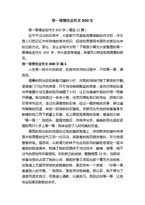 等一等慢些走作文800字