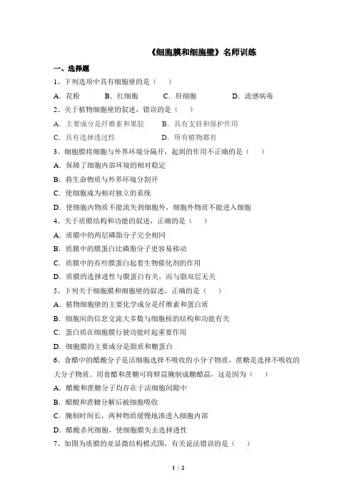 浙科版高一生物必修1_《细胞膜和细胞壁》名师训练