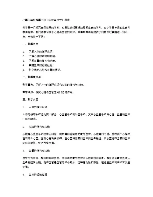 小学五年级科学下册《心脏与血管》教案,让孩子更好地掌握生命科学知识