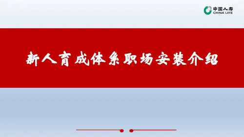 新人育成体系职场安装介绍国寿版19页