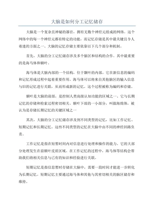 大脑是如何分工记忆储存