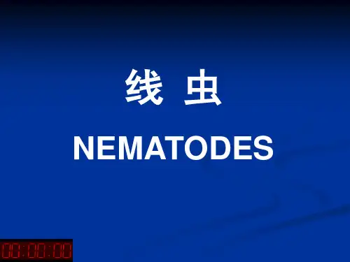 线虫概论