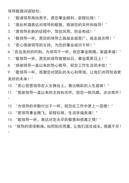 领导敬酒词语短句