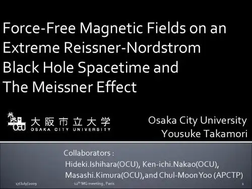 ForceFree Magnetic Fields on an Extreme ReissnerNordstrom 无力磁场域上一个极端ReissnerNordstromde 共