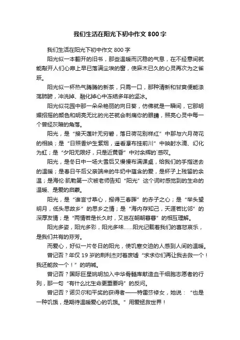 我们生活在阳光下初中作文800字
