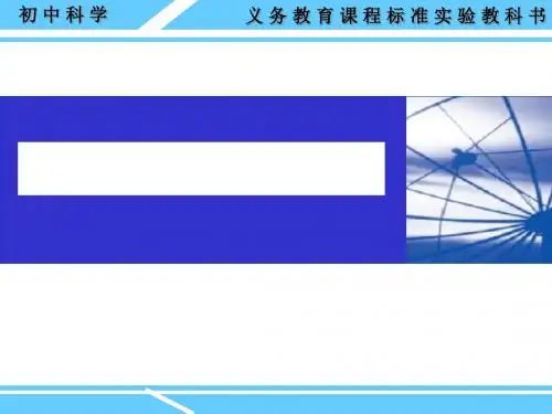 《几种常见的盐》盐PPT课件(上课用)2