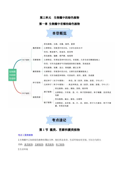 第一章生物圈中有哪些绿色植物(人教版)