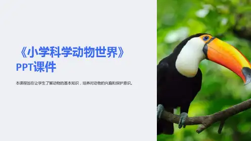 《小学科学动物世界》课件