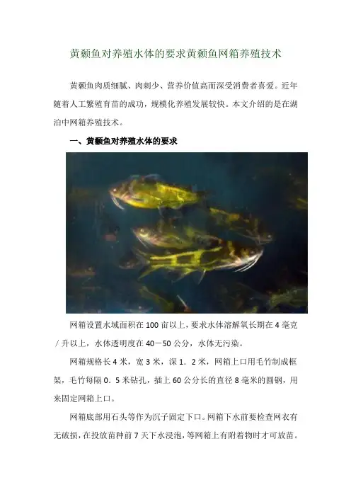 黄颡鱼对养殖水体的要求 黄颡鱼网箱养殖技术