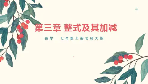 3.1代数式第1课时+代数式随堂课件+2024-2025学年+北师大版(2024)数学七年级上册