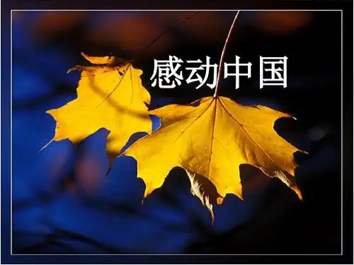 《在承担责任中成长-承担对社会的责任》课件3(13张PPT)(人教版九年级)
