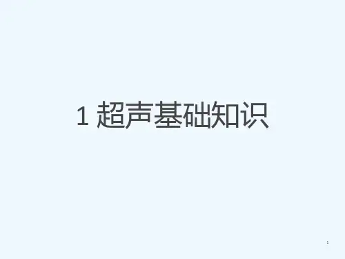 1 超声基础知识[可修改版ppt]