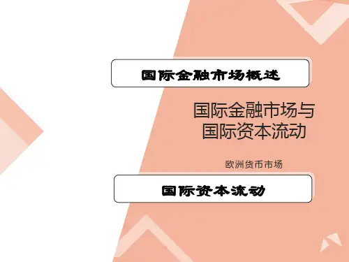 国际金融ppt-7国际金融市场与资本流动