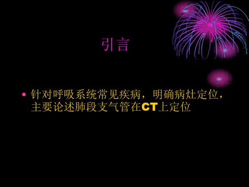 肺段和开口在CT上的定位
