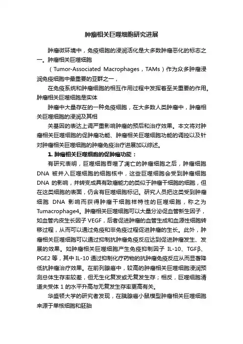 肿瘤相关巨噬细胞研究进展