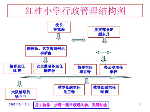 红桂小学行政管理结构图