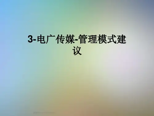 3-电广传媒-管理模式建议