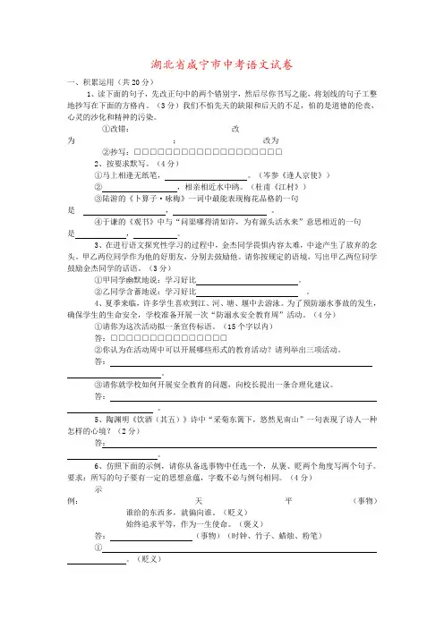 湖北省咸宁市中考语文试卷