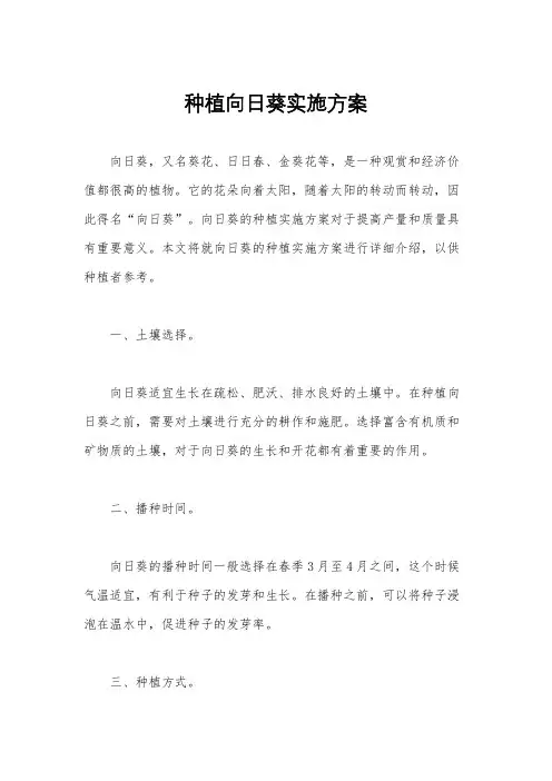 种植向日葵实施方案