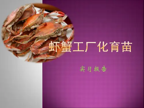 虾蟹工厂化育苗(一)