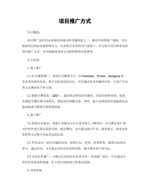 项目推广方式